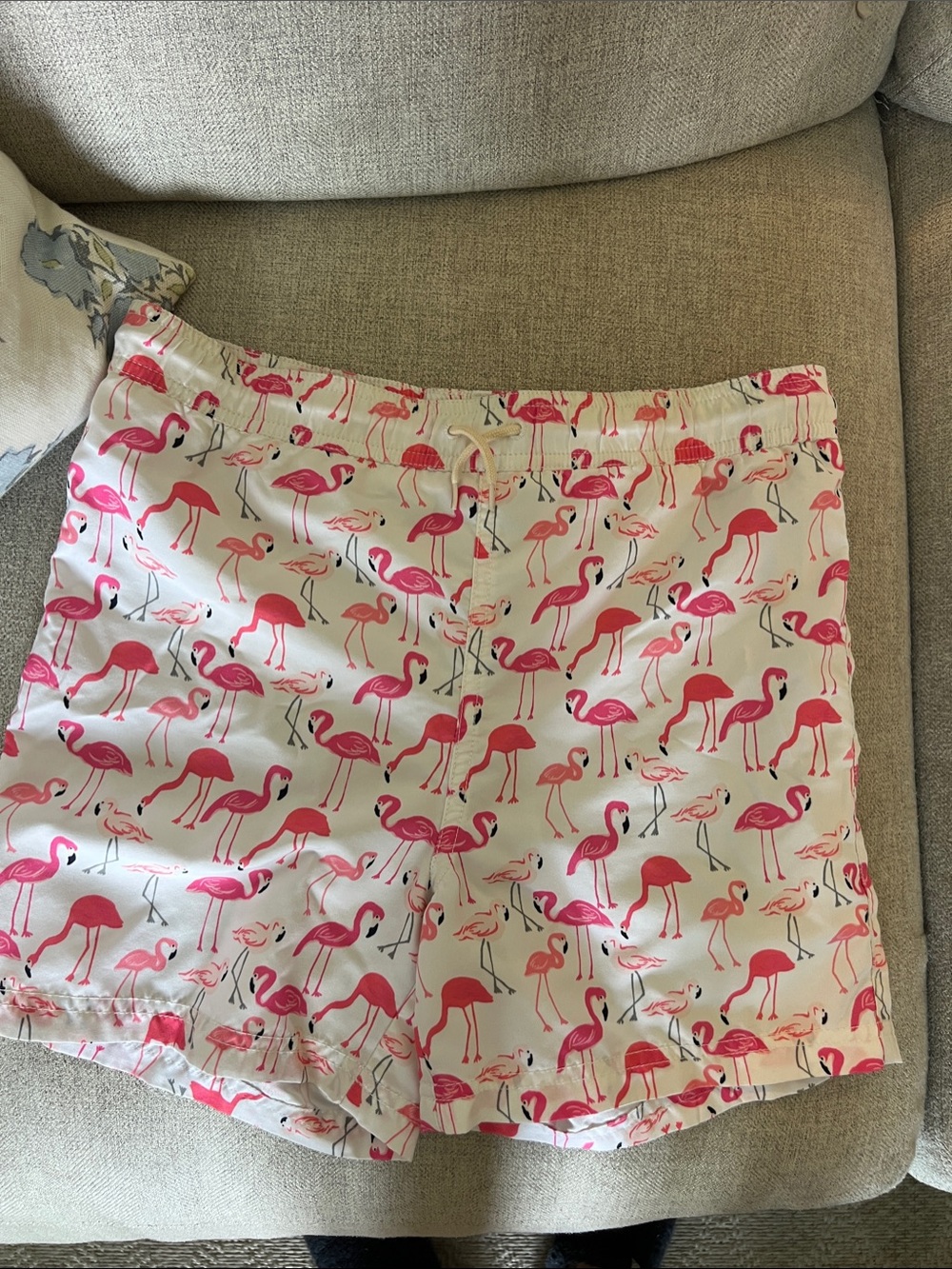 Janie and Jack Boys Pink Flamingo Print Swim Shorts